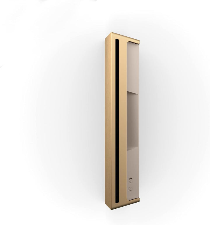 Bang & Olufsen Beosound Level - Difuzor portabil fără fir cu Wifi și Bluetooth (16 ore de funcționare a bateriei), Difuzor durabil certificat Cradle to Cradle - Gold Tone/Wood