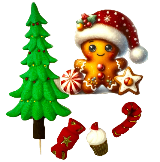 Set of 5 edible sugar paste decorations, Winter Holidays