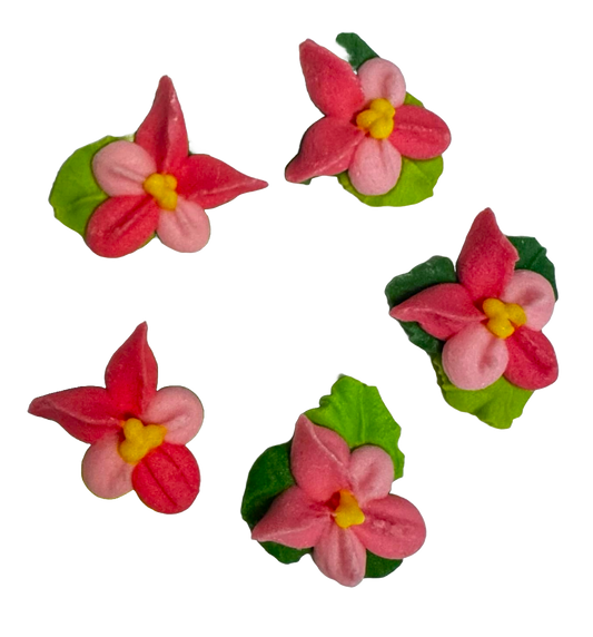 Set of 5 edible sugar paste decorations, Pink flowers