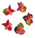 Set of 5 edible sugar paste decorations, Pink flowers