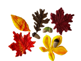 Set of 8 edible sugar paste decorations, Autumn