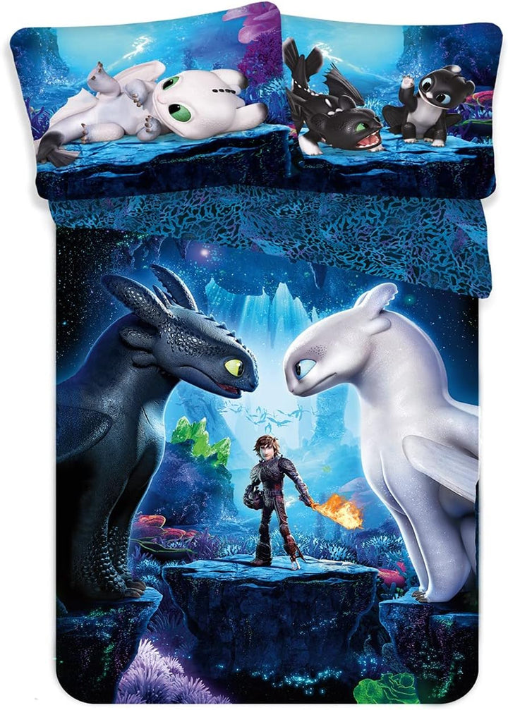 Theonoi Set 2 Teilig Kinder Bettwäsche Bettbezug Wendebettwäsche 135X200 80X80 Baumwolle Kinderbettwäsche Öko-Tex Standard Deutsche Standardgröße (Fast and Furious)