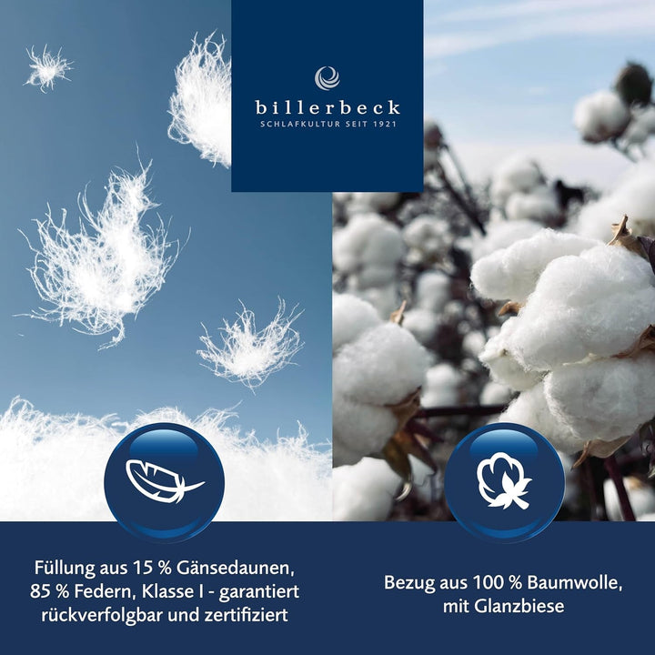 Billerbeck down pillow Martina - Pernă în 80 X 80 Cm - Pernă cu suport ferm - Gâscă jos 15% și pene 85%