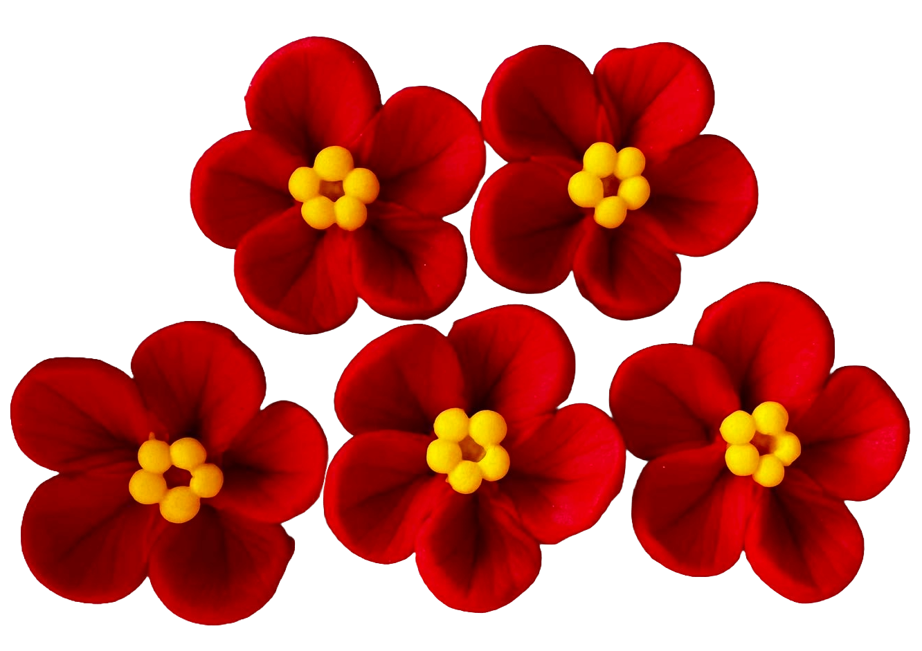 Set of 5 edible sugar paste decorations, Red flowers