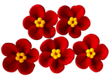 Set of 5 edible sugar paste decorations, Red flowers